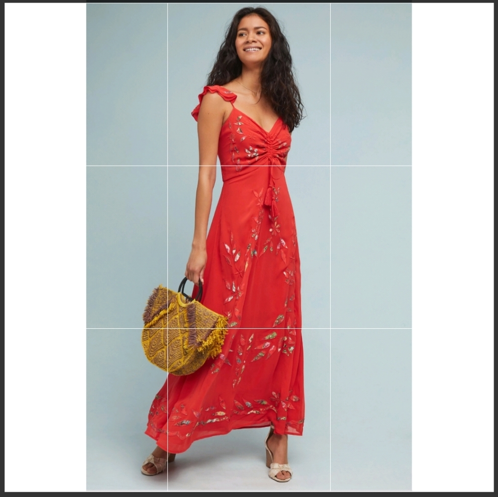 NWT Farm Rio Quintara embroidered maxi - Red sz 10